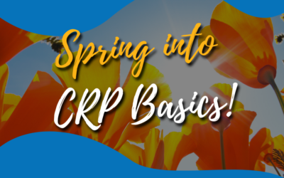 CRP Basics: Using and Understanding the Cost-Effectiveness Calculator for Collegiate Recovery Programs